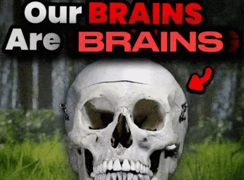 Our Brains Are Shrinking GIF