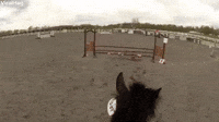 Girl Wearing Helmet Cam Encourages Horse During Co