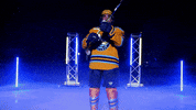 Hockey GIF by Toledo Walleye