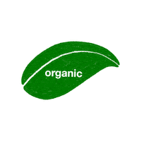 Organic Sticker by ualcatering