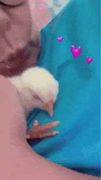 Baby Love GIF