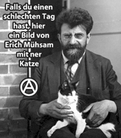 Cat Tag GIF