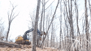 John Deere Excavator GIF by JC Property Professionals