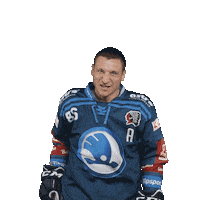 Hockey Plzen Sticker by HC Škoda Plzeň