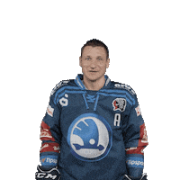 Hockey Applause Sticker by HC Škoda Plzeň