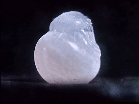 Black Widow Spin GIF