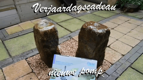 JaapVanSteenbeek giphygifmaker GIF