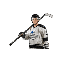 Hockey Sticker by Wichita Thunder