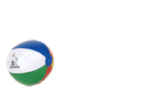 Beach Ball Sticker by Bowdoin College