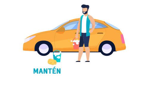 Car Auto Sticker by Diautos Veracruz