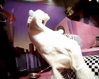 jumping the ark GIF