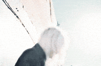 Linkin Park Lp GIF