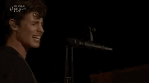 Shawn Mendes GIF by Global Citizen