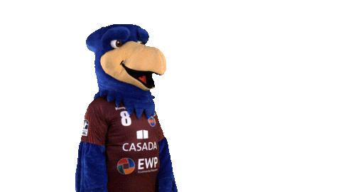 Bundesliga Handball Sticker by 1. VFL Potsdam