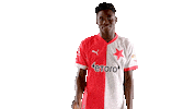 Football Soccer Sticker by SK Slavia Praha
