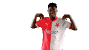 Football Soccer Sticker by SK Slavia Praha