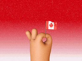 Canadian GIF by GIPHY Studios 2021