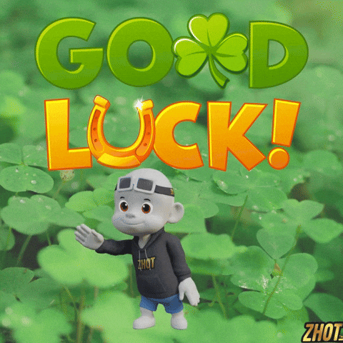 Boa Sorte Good Luck GIF by Zhot