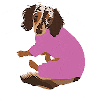 Dachshund Shopping Bag Sticker by No.14