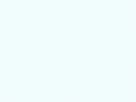 Florida Gators Uf GIF by University of Florida College of Education