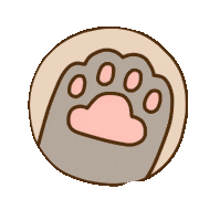 cat hello STICKER by imoji