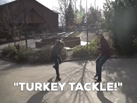 Thanksgiving Turkey GIF by Camp Lebanon