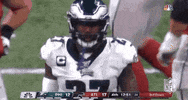 Philadelphia Eagles Football GIF by NFL