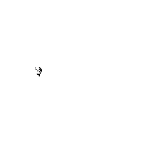 Sport-Fiske-NSFL nsfl fiske sportfiske sport-fiskeno Sticker
