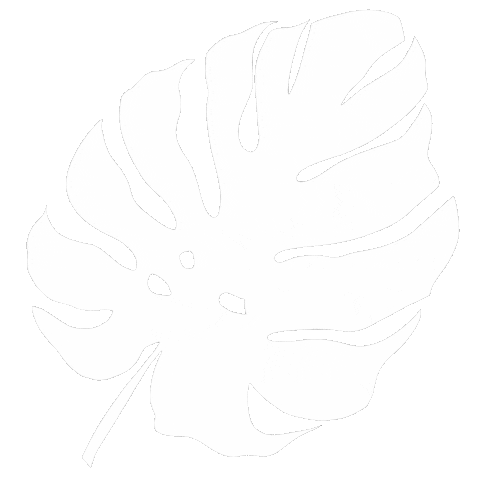 Leaf Leaves Sticker