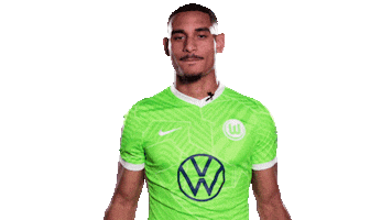 Football Come In Sticker by VfL Wolfsburg