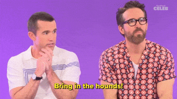 Bring in the Hounds!