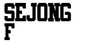 Sjng Sticker by Sejong Taekwondo