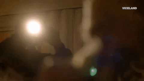 party film GIF by HOLLYWOOD LOVE STORY