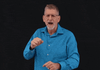 Asl Make Sure GIF