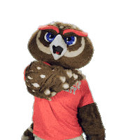 Saluting Boca Raton Sticker by Florida Atlantic University