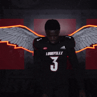 College Football Sport GIF by Louisville Cardinals