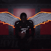 College Football Sport GIF by Louisville Cardinals