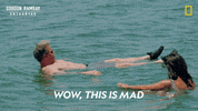 Gordon Ramsay Disney Plus GIF by National Geographic TV