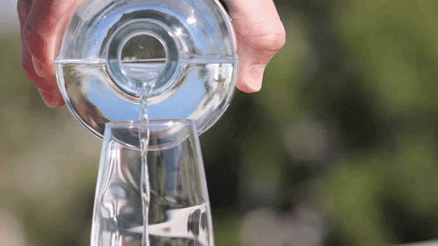 volanstequila giphygifmaker tequila volans volanstequila GIF