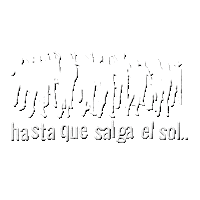 Party Panama Sticker by Daniel Harris