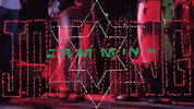 Jamming Bob Marley And The Wailers GIF by Bob Marley