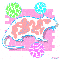 Animation Domination Fox GIF by gifnews