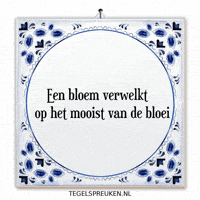Humor Moment GIF by Tegelspreuken.nl