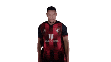 Happy Football Sticker by AFC Bournemouth