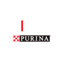 pet love Sticker by PURINA CAM