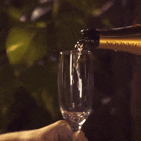 GIF by Beach Park