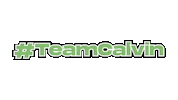 teamspiritfx sfx spiritfx teamspiritfx teamcalvin Sticker