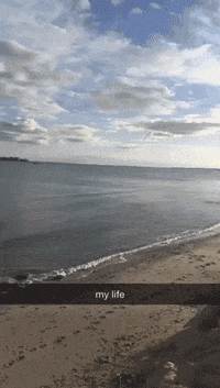 Life GIF