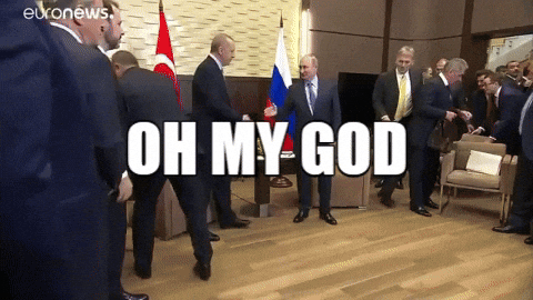 Turkey Putin GIF by euronews