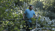 Tree Trimming GIF by JC Property Professionals